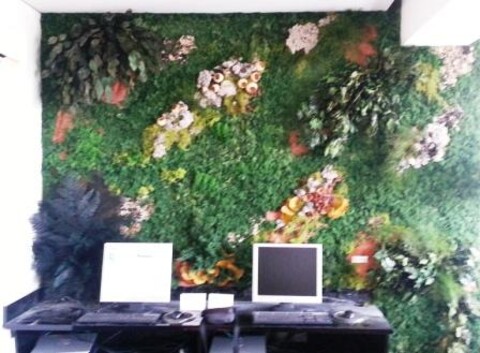 Giardini Vegetali Preservati - Adatti soltanto per interni . - Stile Airport VIP