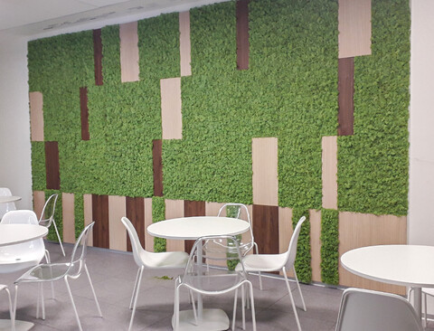 Parete Moss Stabilizzata - Sconti per Fioristi e Aziende . - Wall Moss a metro quadrato