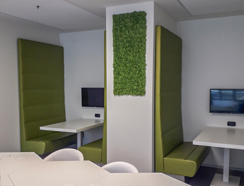 Parete Moss Stabilizzata - Sconti per Fioristi e Aziende . - Wall Moss a metro quadrato