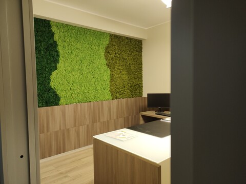 Parete Moss Stabilizzata - Sconti per Fioristi e Aziende . - Stile Flag 3