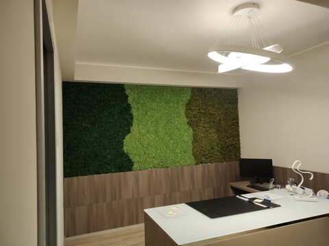 Parete Moss Stabilizzata - Sconti per Fioristi e Aziende . - Stile Flag 3