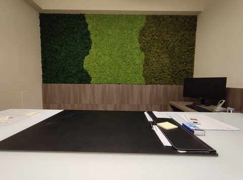 Parete Moss Stabilizzata - Sconti per Fioristi e Aziende . - Stile Flag 3