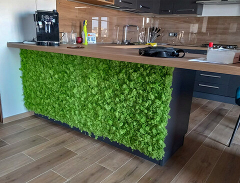 Parete Moss Stabilizzata - Sconti per Fioristi e Aziende . - Wall Moss a metro quadrato