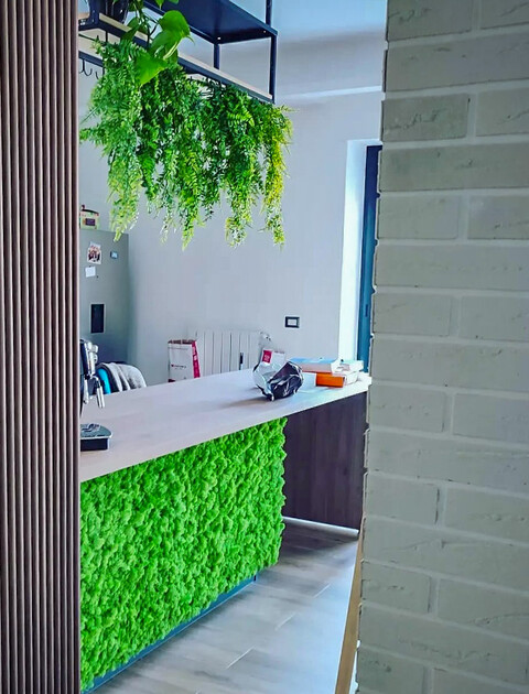Parete Moss Stabilizzata - Sconti per Fioristi e Aziende . - Wall Moss a metro quadrato