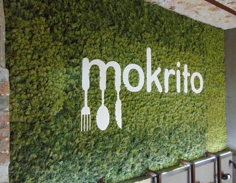 Parete Moss Stabilizzata - Sconti per Fioristi e Aziende . - Stile Mokrito