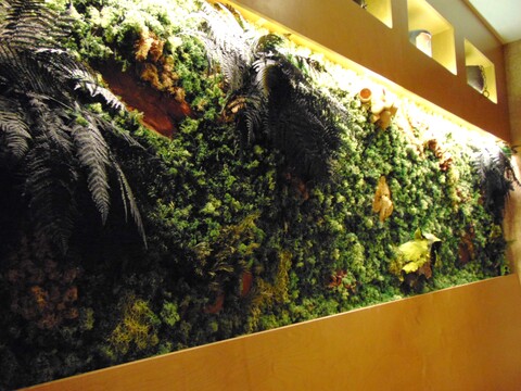 Giardini Vegetali Preservatii - Sconti per Fioristi e Aziende . - Adatto per Interno