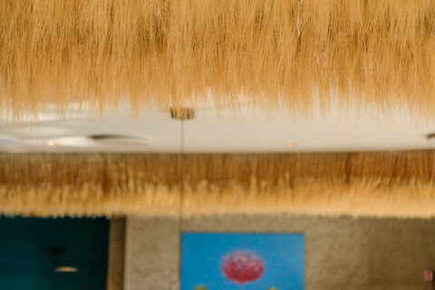 Soffitto Spighe di grano preservate per Ristoranti, Hotels e Resort . - a metro quadrato