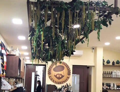 Soffitto con Vegetali Verdi Pendentii - Sconto per Fioristi e Aziende - Per esterno ed interno