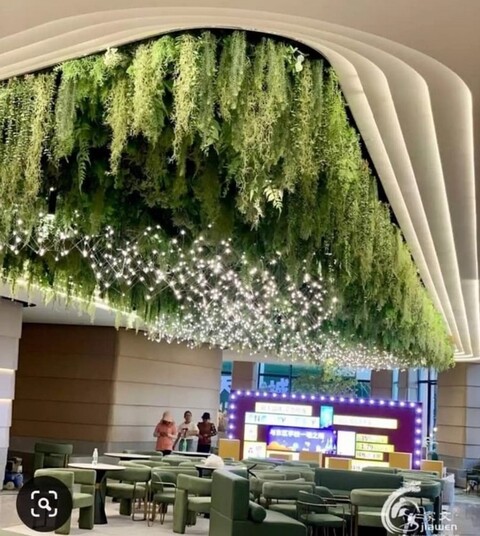 Soffitto con Vegetali Verdi Pendentii - Sconto per Fioristi e Aziende - Per esterno ed interno