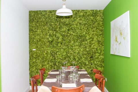 Parete Moss Stabilizzata - Mod. Pepe Verde . - Wall Moss a metro quadrato