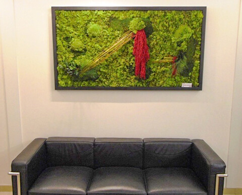 Giardini Vegetali Preservatii - Mod. AV 2015 . - Adatto per Interno