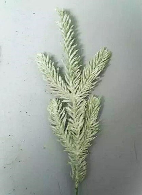 Ramo Abete Bianco Floccato  - Sconti per Fioristi e Aziende  - lungo cm.30