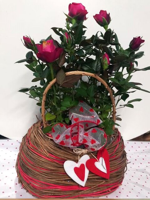 Borsetta Rossa in Sea grass - Sconti per Fioristi e Aziende -  Naturale 3 modelli