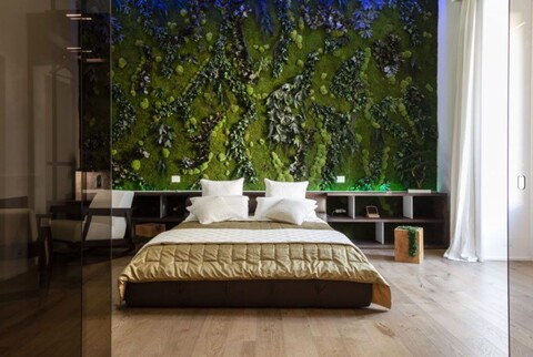 Giardini Vegetali Preservati - Sconti per Fioristi e Aziende - Adatto per Interno