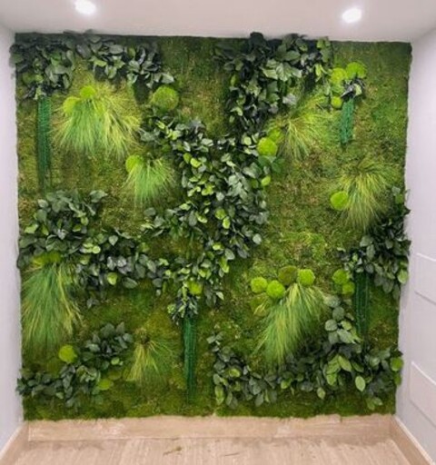 Giardini Vegetali Preservati - Sconti per Fioristi e Aziende - Adatto per Interno