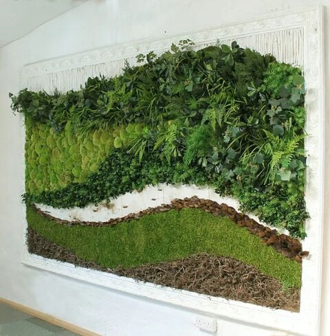 Parete Moss Stabilizzata Wall Moss  - Sconti per Fioristi e Aziende - a metro quadrato
