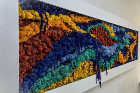 Parete Moss Stabilizzata Wall Moss  - Sconti per Fioristi e Aziende - a metro quadrato