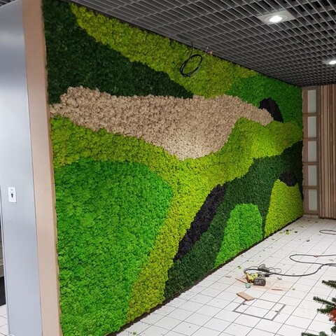 Parete Moss Stabilizzata Wall Moss  - Sconti per Fioristi e Aziende - a metro quadrato
