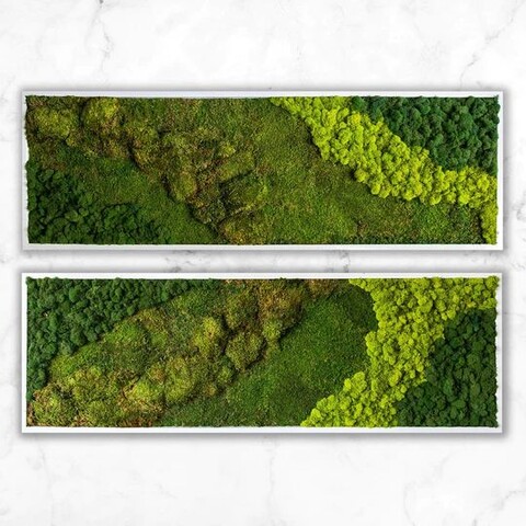 Parete Moss Stabilizzata Wall Moss  - Sconti per Fioristi e Aziende - a metro quadrato