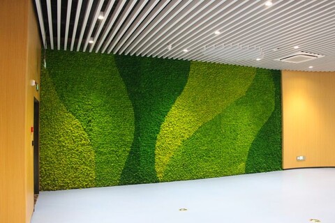 Parete Moss Stabilizzata Wall Moss  - Sconti per Fioristi e Aziende - a metro quadrato