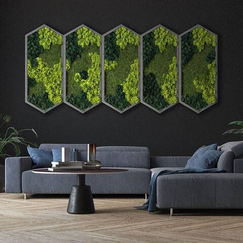 Parete Moss Stabilizzata Wall Moss  - Sconti per Fioristi e Aziende - a metro quadrato