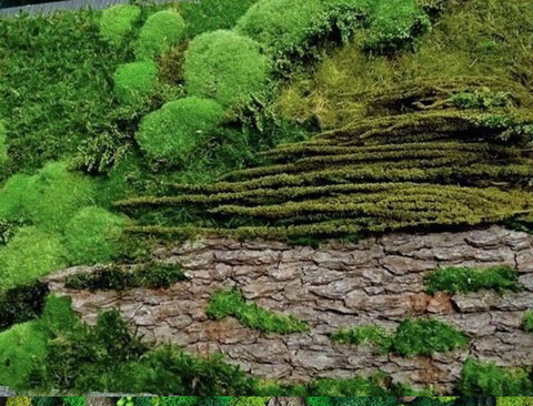 Copia di Giardini Vegetali Preservati - Adatti soltanto per interni . - Stile Sughereto