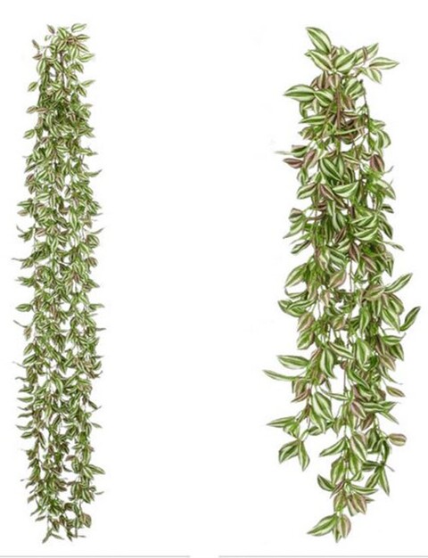 Tradescanzia Componibile - Sconti per Fioristi e Aziende . - In poliester