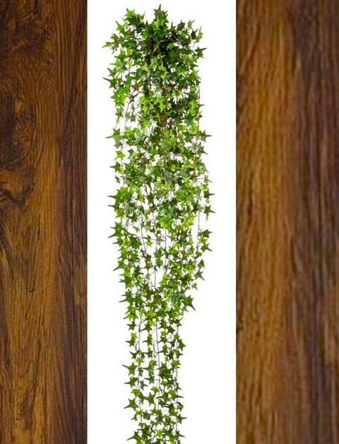 Edera Artificiale H 180 cm.  - Sconti per Fioristi e Aziende . - Pitzsburgh con 1076 foglie