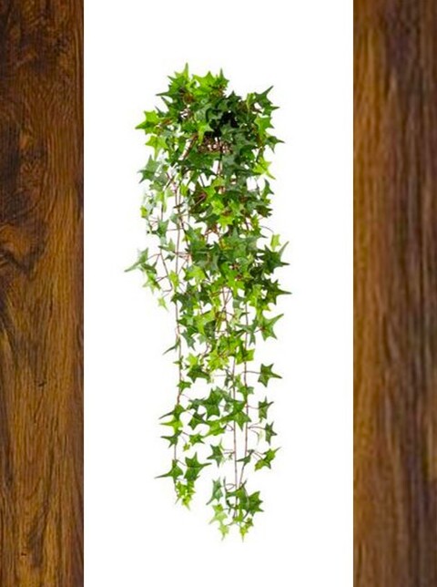 Edera Artificiale H 90 cm. - Sconti per Fioristi e Aziende . -  Pitzsburgh  con 371 foglie