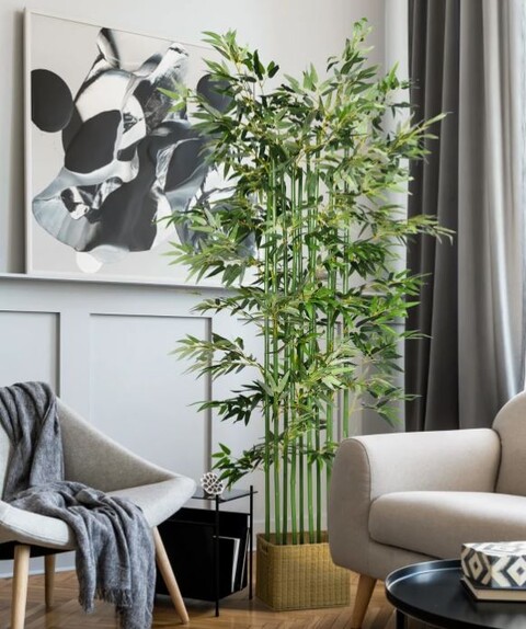 Canna di Bamboo  H 160 - Sconti per Fioristi e Aziende . - Naturale con foglie Artificiali