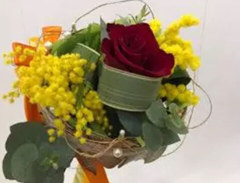 ESAURITA Mimosa Fresca box Kg. 18/25 -  Sconti per rivenditori - Acacia Dealbata - Goulois