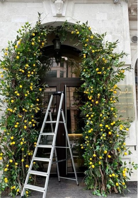 Limone artificiale in plastica - Sconti per Fioristi e Aziende e Wedding . -cm. 6 x 8