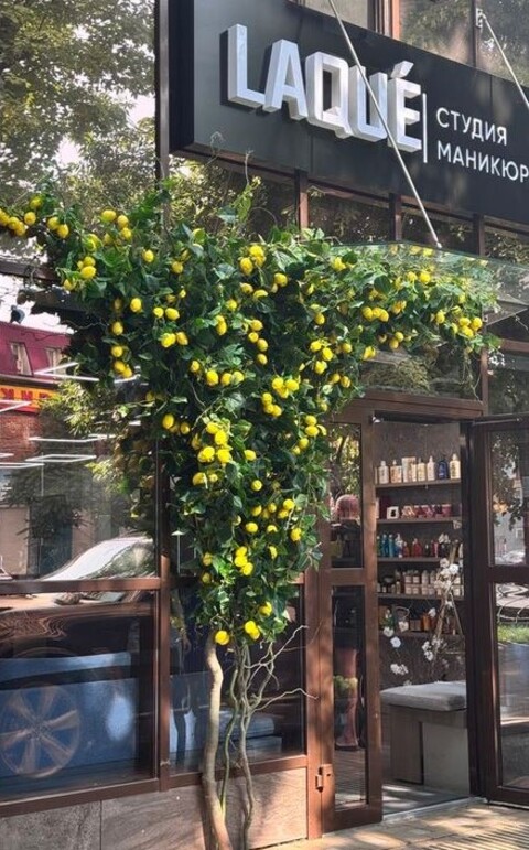 Limone artificiale in plastica - Sconti per Fioristi e Aziende e Wedding . -cm. 6 x 8