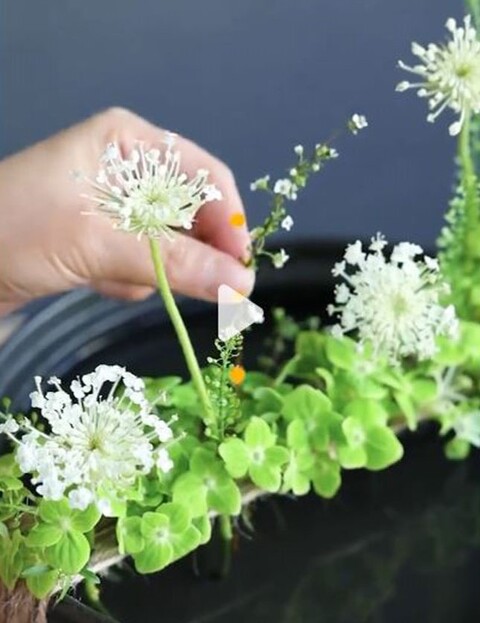 Queen Anne's Lace x 3  H 84 - Sconti per Fioristi e Aziende . - In poliester