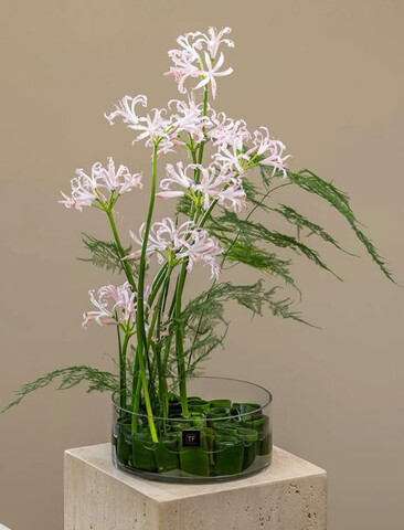 Ciotola in Vetro Tonda  H 10 x dm. 25-30-35-39 - Sconti per Fioristi e Aziende