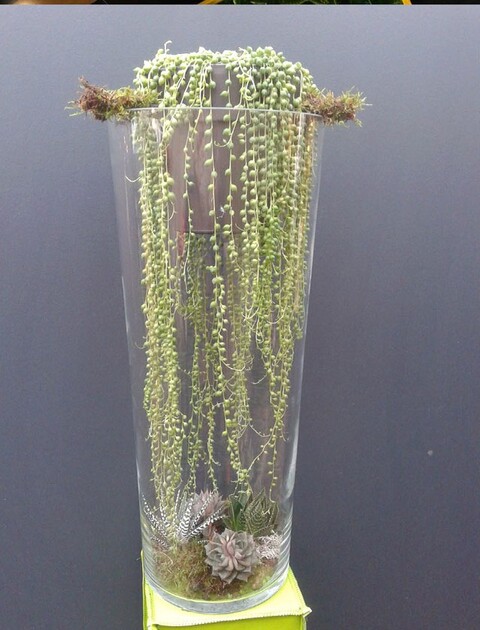 Cono in vetro H 30 dm. 15 Classico - Sconti per Fioristi e Aziende