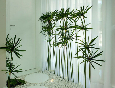 Papiro Artificiale in gomma H 107 - Sconto per Fioristi e Aziende . - con 24 foglie