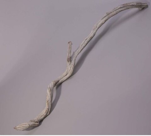 Cipo Rosca Naturale H 220 - Sconti per fioristi e Aziende . - Liana Intrecciata Dm. 4