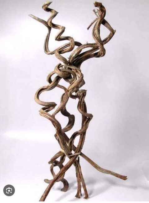 Cipo Rosca Naturale H 200  - Sconti per fioristi e Aziende - Ramo Contorto dm. 3