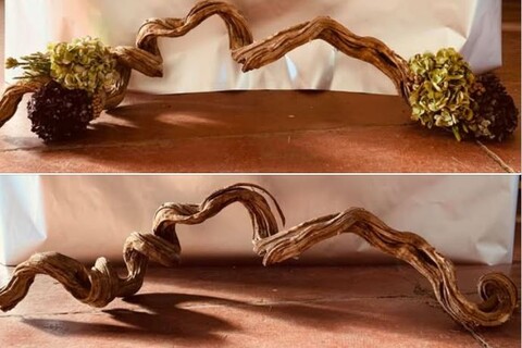 Cipo Rosca Naturale H 200  - Sconti per fioristi e Aziende - Ramo Contorto dm. 3