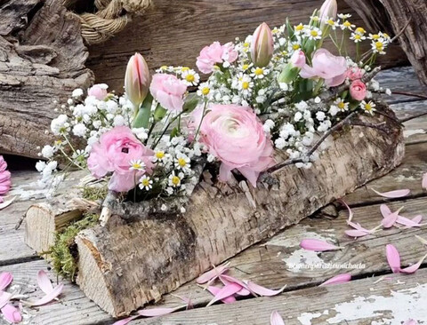 Corteccia di Pioppo Kg. 1  - Sconti per Fioristi e Aziende . - H 40  cm.