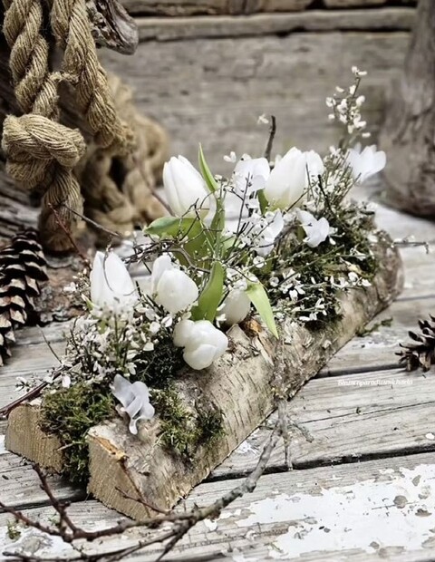 Corteccia di Pioppo Kg. 1  - Sconti per Fioristi e Aziende . - H 40  cm.