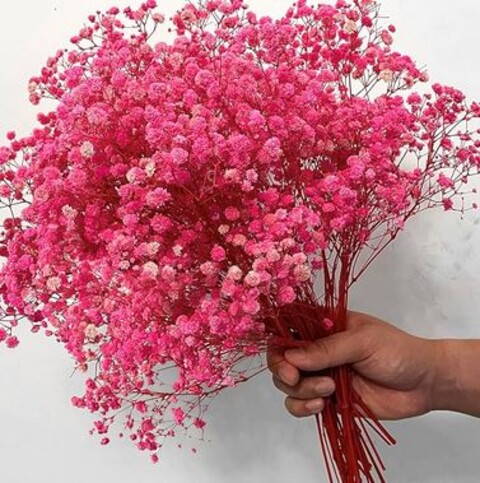 Gypsofilla Naturale Stabilizzata Busta gr. 100 - Sconti per Fioristi e Aziende