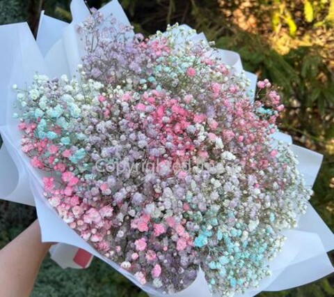 Gypsofilla Naturale Stabilizzata Busta gr. 100 - Sconti per Fioristi e Aziende