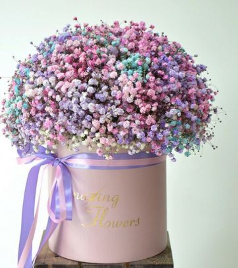 Gypsofilla Naturale Stabilizzata Busta gr. 100 - Sconti per Fioristi e Aziende