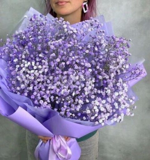 Gypsofilla Naturale Stabilizzata Busta gr. 100 - Sconti per Fioristi e Aziende