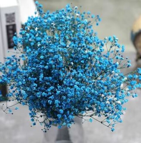 Gypsofilla Naturale Stabilizzata Busta gr. 100 - Sconti per Fioristi e Aziende