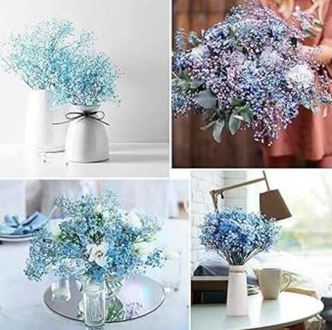 Gypsofilla Naturale Stabilizzata Busta gr. 100 - Sconti per Fioristi e Aziende