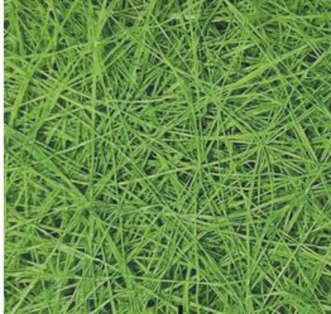 Sisal Naturale Amidato H 60 - Sconti per Fioristi e Aziende - Rotolo da 3 Yds