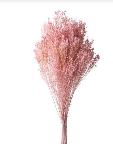 Broom Bloom Naturale colorato Gr. 100 - Sconti per Fioristi e Aziende